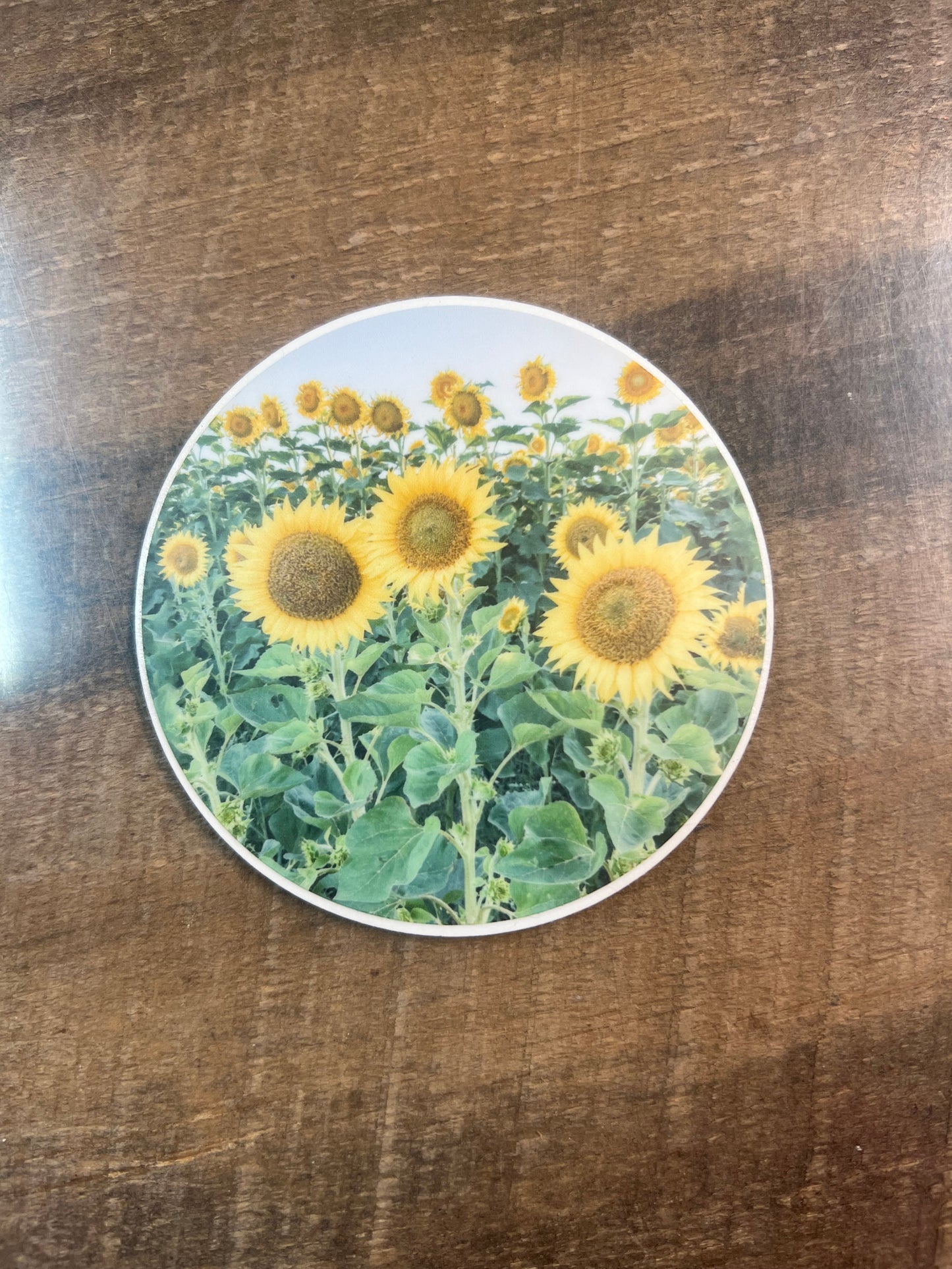 Sunflower Field Sticker