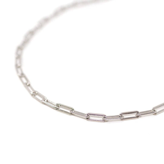 The Leo Chain Necklace, Silver